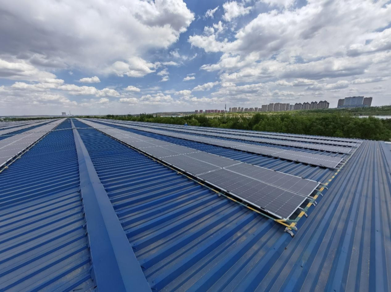 圖片21.jpg 圖片21.jpg