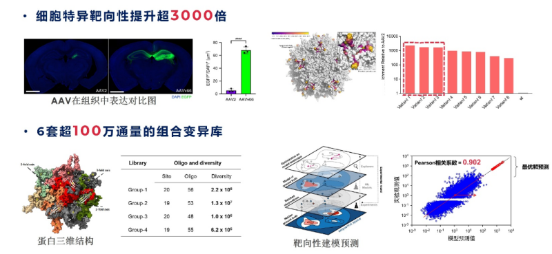 圖片5.png 圖片5.png